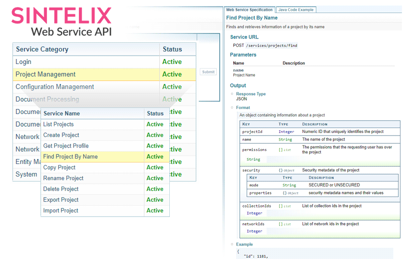Sintelix API screenshot