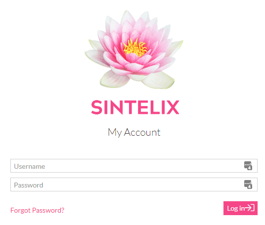 My Sintelix login screenshot
