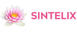 Sintelix logo